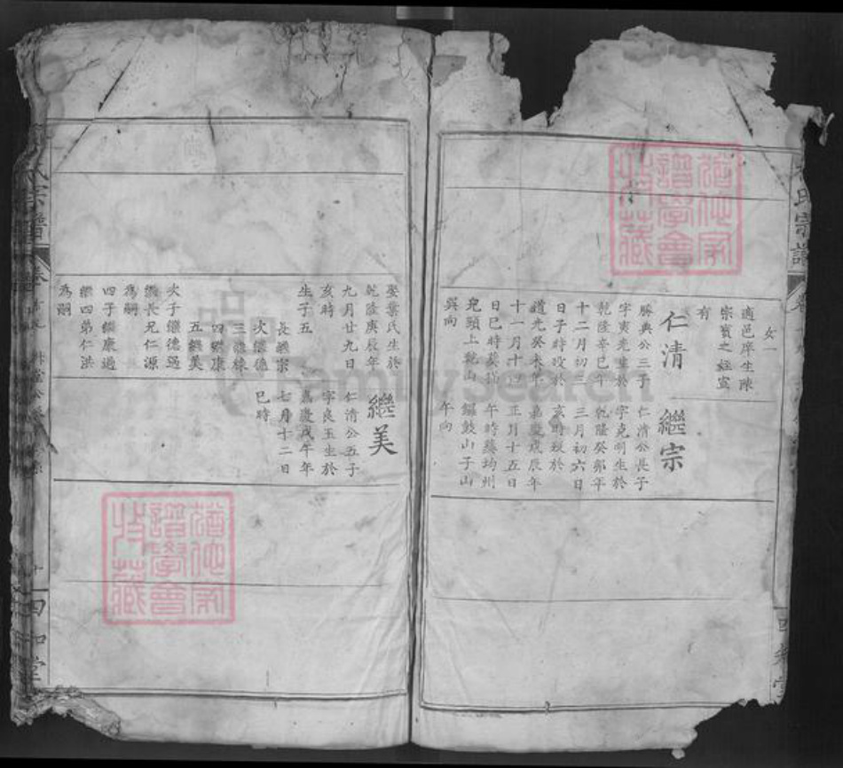 湖北省十堰市郧阳区杨氏四知堂族谱-杨氏宗谱.pdf电子版插图4