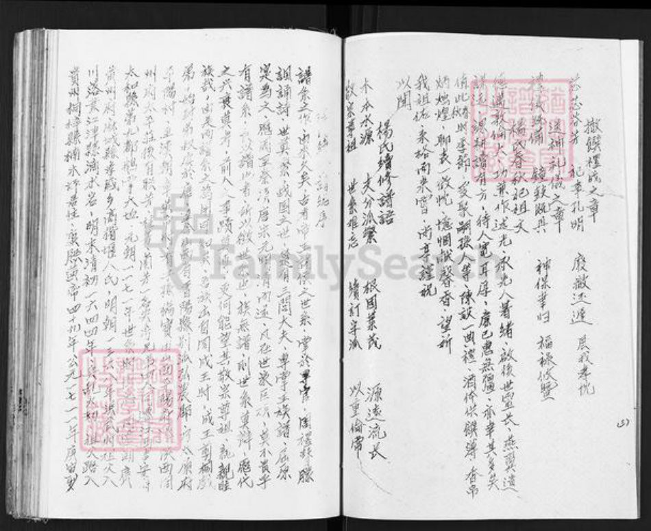 重庆市綦江区杨氏四知堂族谱-杨氏谱帙续编汇集.pdf电子版插图4