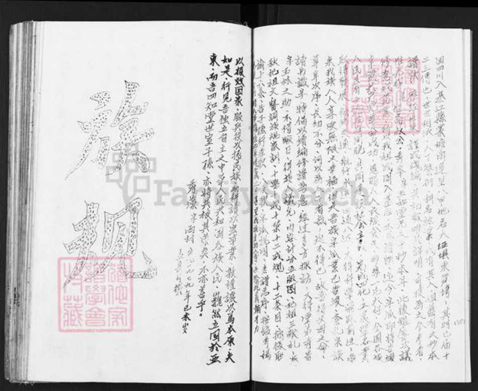 重庆市綦江区杨氏四知堂族谱-杨氏谱帙续编汇集.pdf电子版插图5