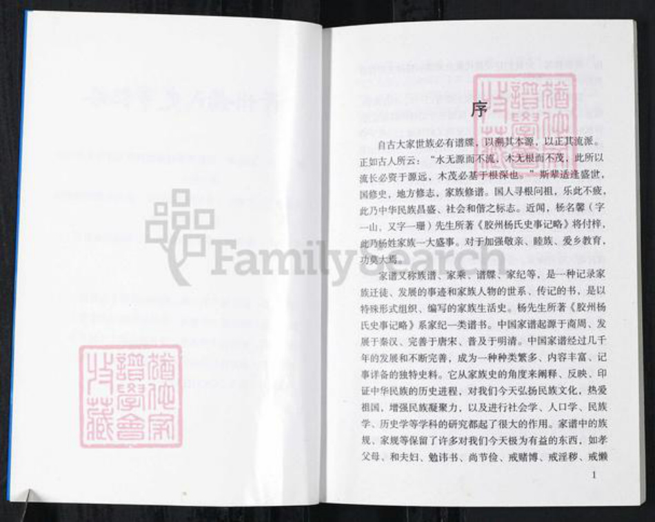 山东省青岛市胶州市杨氏族谱-胶州杨氏史事记略.pdf电子版插图2