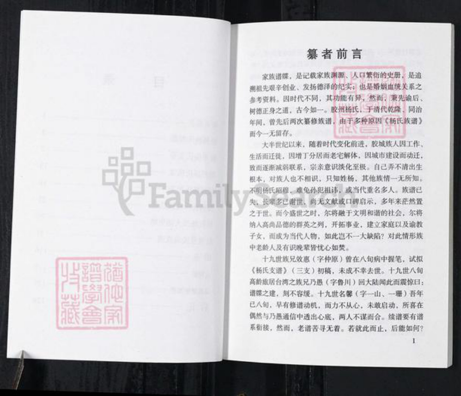 山东省青岛市胶州市杨氏族谱-胶州杨氏史事记略.pdf电子版插图5