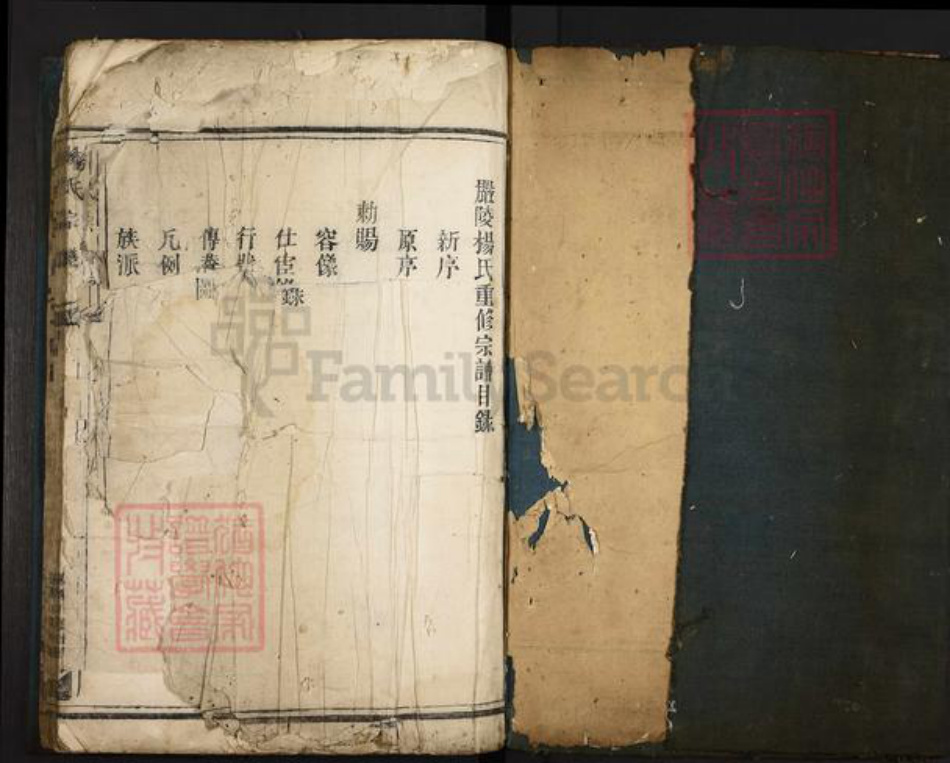 浙江省杭州市桐庐县县江南镇杨氏族谱-杨氏宗谱.pdf电子版插图1