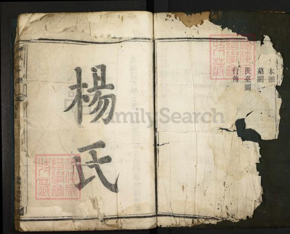 浙江省杭州市桐庐县县江南镇杨氏族谱-杨氏宗谱.pdf电子版插图2