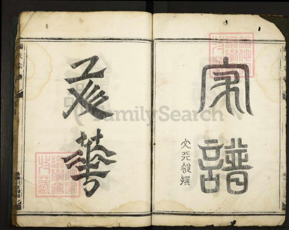 浙江省杭州市桐庐县县江南镇杨氏族谱-杨氏宗谱.pdf电子版插图4