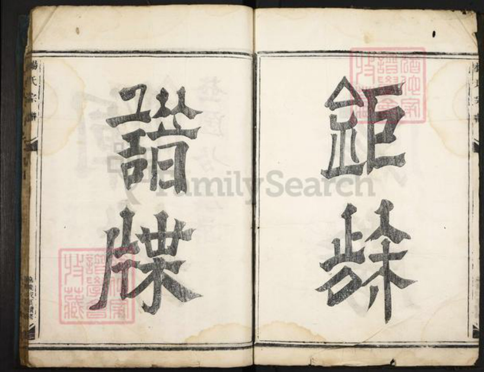 浙江省杭州市桐庐县县江南镇杨氏族谱-杨氏宗谱.pdf电子版插图5