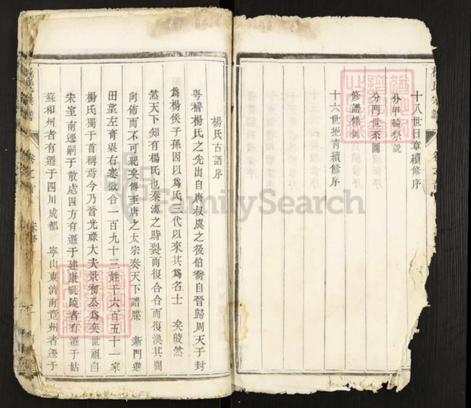 江苏省扬州市高邮市杨氏四知堂族谱-杨氏宗谱.pdf电子版插图2