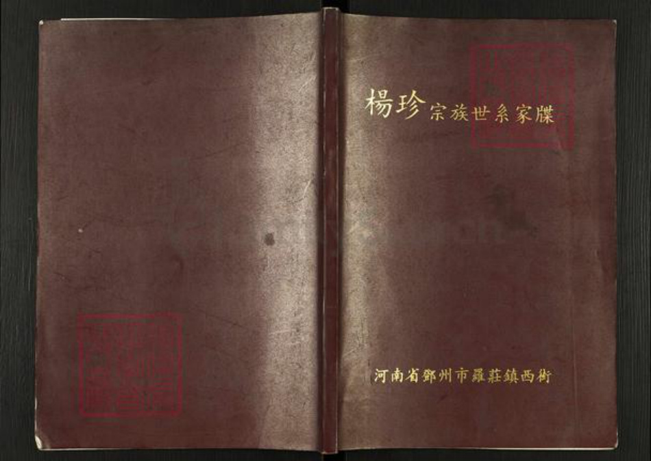 河南省南阳市邓州市罗庄镇杨氏族谱-杨珍宗族世系家牒.pdf电子版