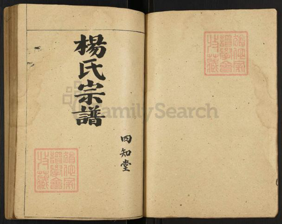 江苏省扬州市高邮市界首镇杨氏四知堂族谱-杨氏宗谱.pdf电子版插图1