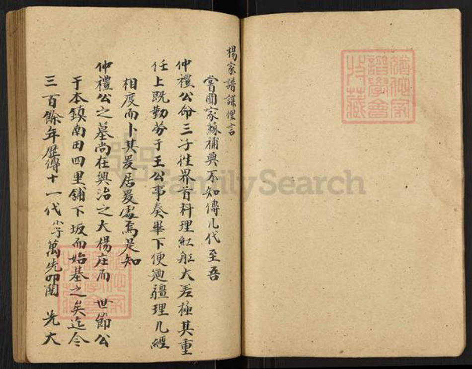 江苏省扬州市高邮市界首镇杨氏四知堂族谱-杨氏宗谱.pdf电子版插图2