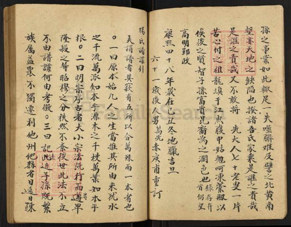 江苏省扬州市高邮市界首镇杨氏四知堂族谱-杨氏宗谱.pdf电子版插图4