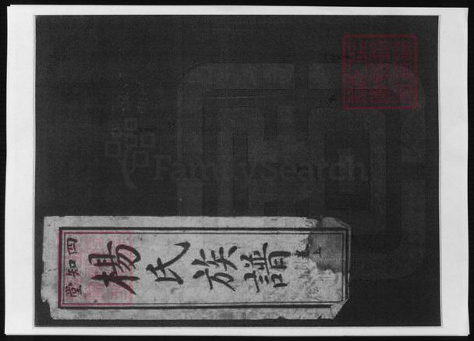 河南省信阳市杨氏族谱-杨氏族谱.pdf电子版