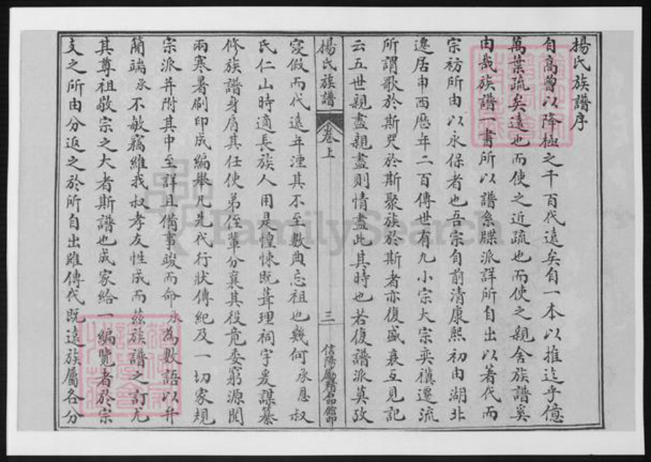 河南省信阳市杨氏族谱-杨氏族谱.pdf电子版插图5