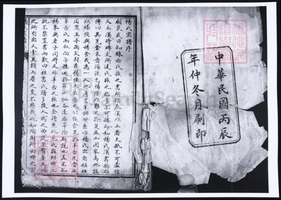 河南省洛阳市杨氏族谱-杨氏宗谱.pdf电子版插图1 河南省洛阳市杨氏族谱-杨氏宗谱.pdf电子版插图1