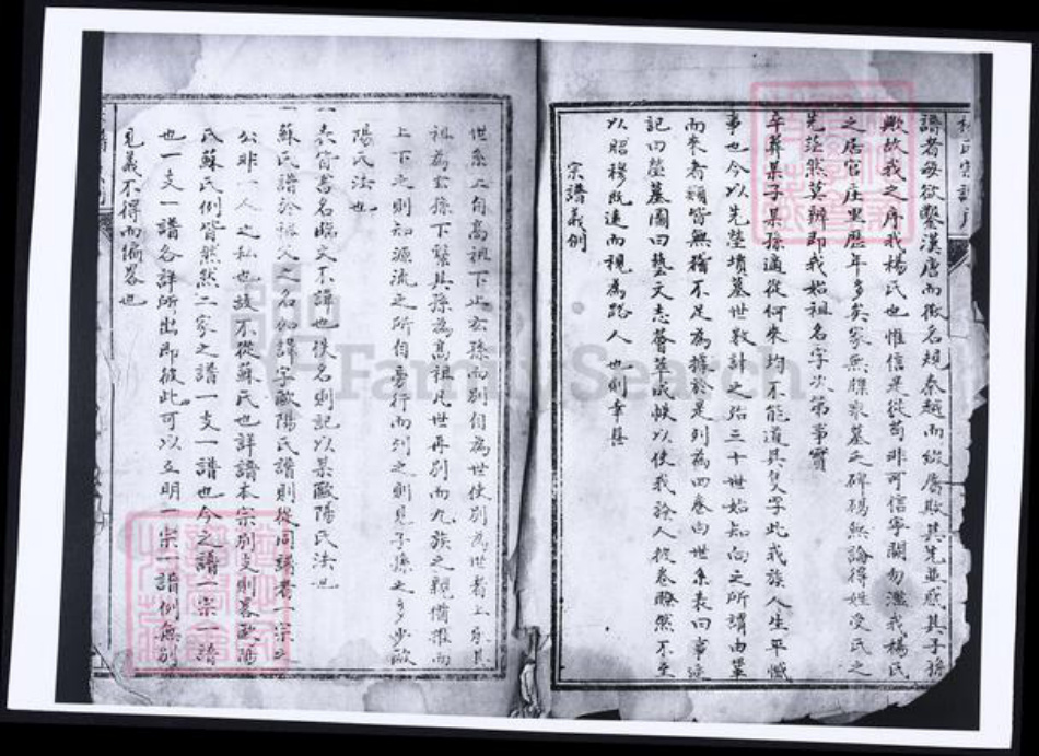 河南省洛阳市杨氏族谱-杨氏宗谱.pdf电子版插图2 河南省洛阳市杨氏族谱-杨氏宗谱.pdf电子版插图2