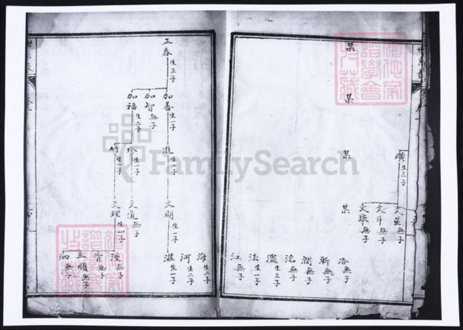河南省洛阳市杨氏族谱-杨氏宗谱.pdf电子版插图5 河南省洛阳市杨氏族谱-杨氏宗谱.pdf电子版插图5