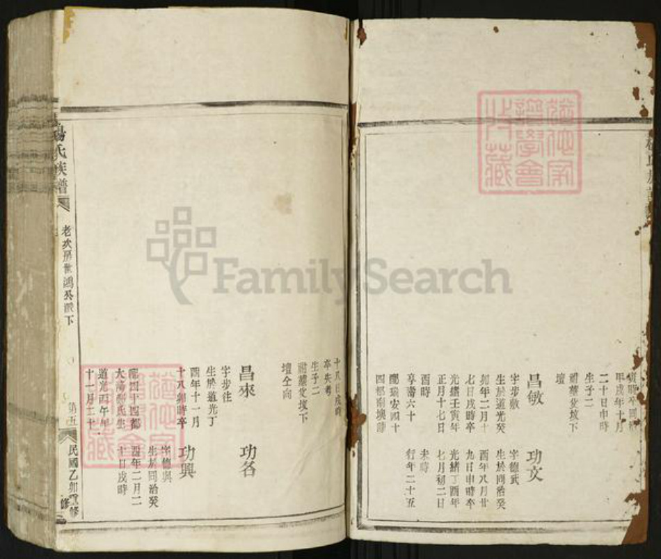 浙江省温州市瑞安市瑞安杨氏族谱-杨氏族谱.pdf电子版插图1