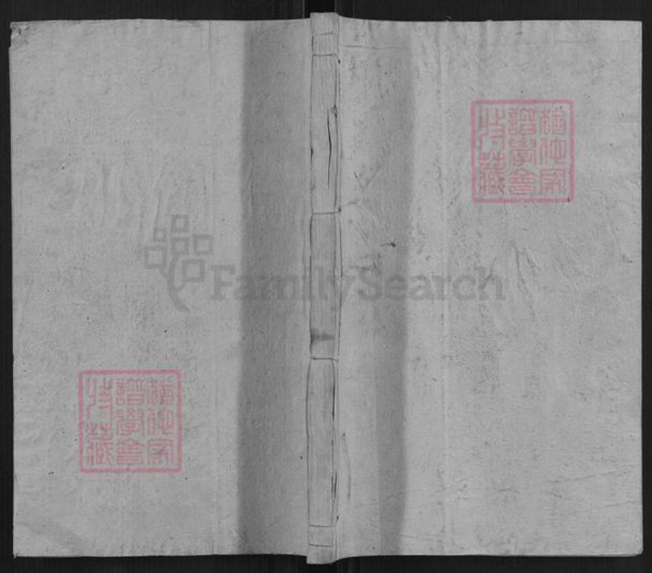 湖南省娄底市新化县杨氏族谱-新化杨氏族谱.pdf电子版