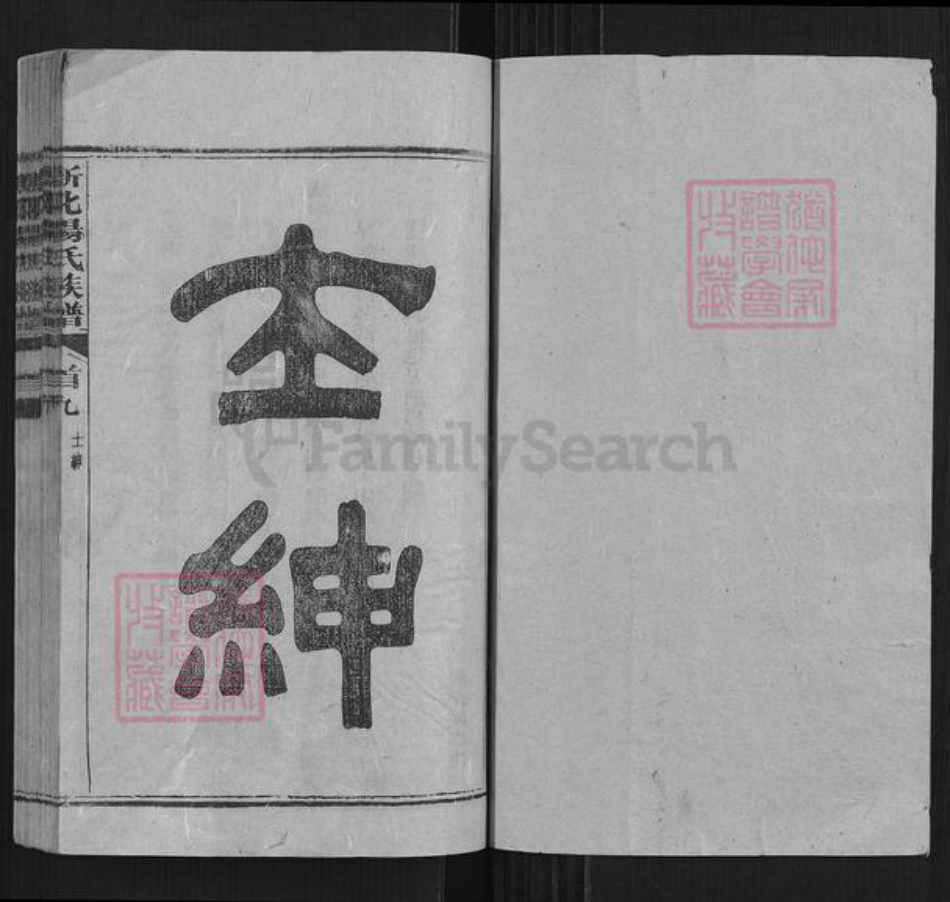 湖南省娄底市新化县杨氏族谱-新化杨氏族谱.pdf电子版插图1