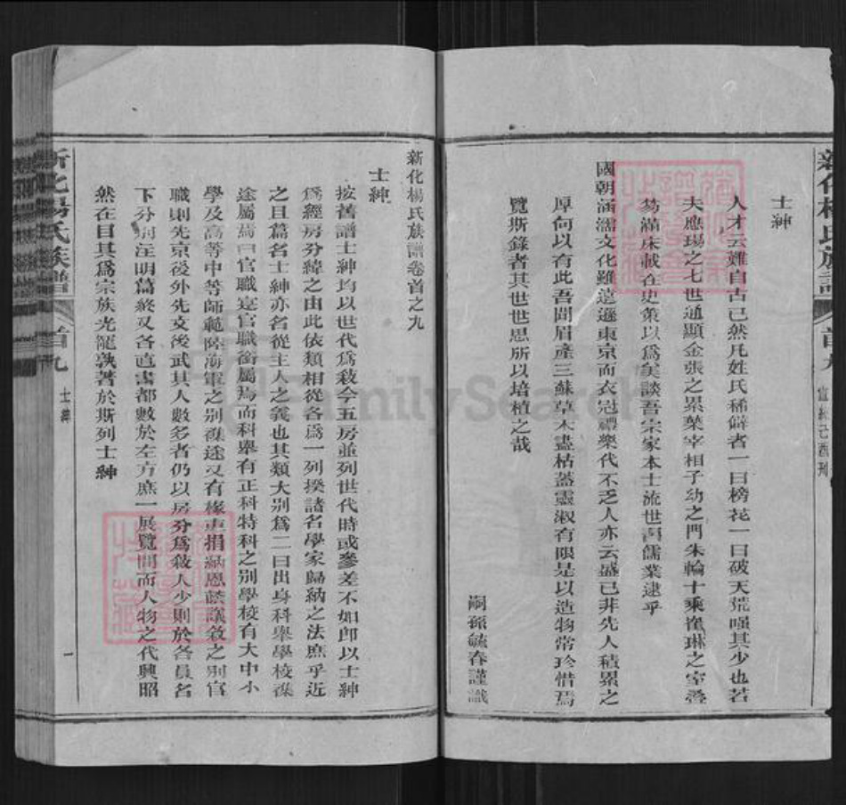 湖南省娄底市新化县杨氏族谱-新化杨氏族谱.pdf电子版插图2