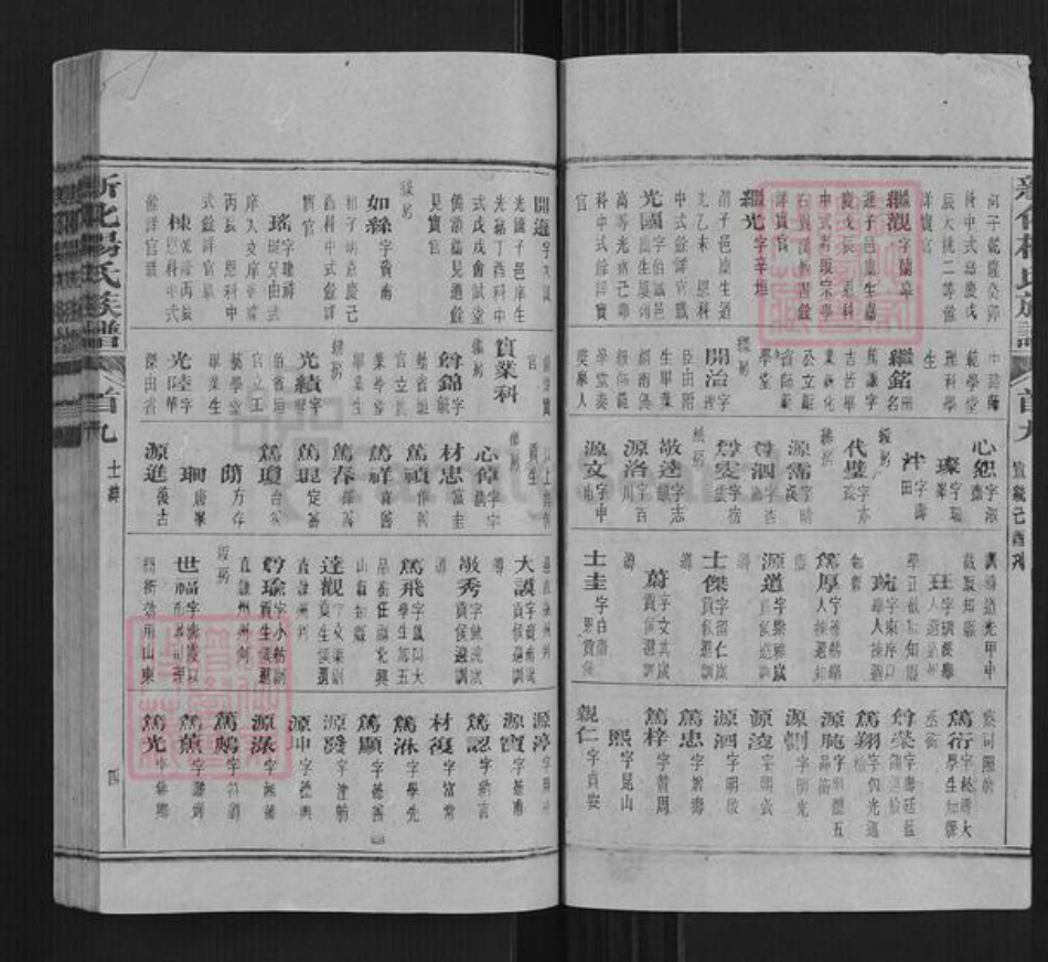 湖南省娄底市新化县杨氏族谱-新化杨氏族谱.pdf电子版插图5