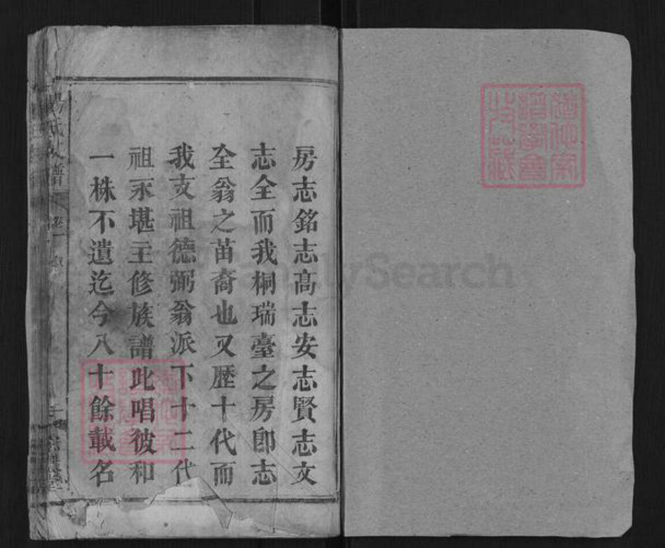 湖南省湘潭市湘乡市湘乡杨氏族谱-杨氏支谱[8卷].pdf电子版插图1