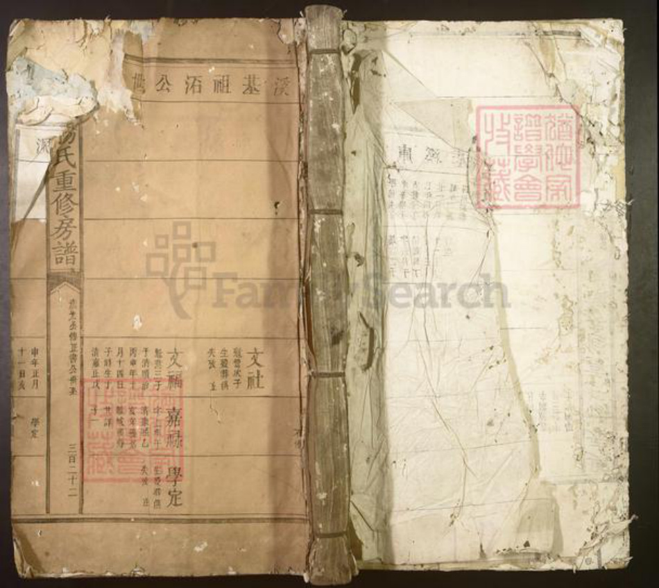 江西省吉安市泰和市杨氏族谱-兴泰杨氏重修房谱[不分卷].pdf电子版