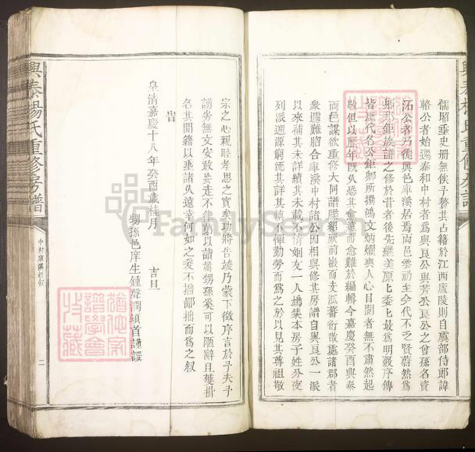 江西省吉安市泰和市杨氏族谱-兴泰杨氏重修房谱[不分卷].pdf电子版插图4