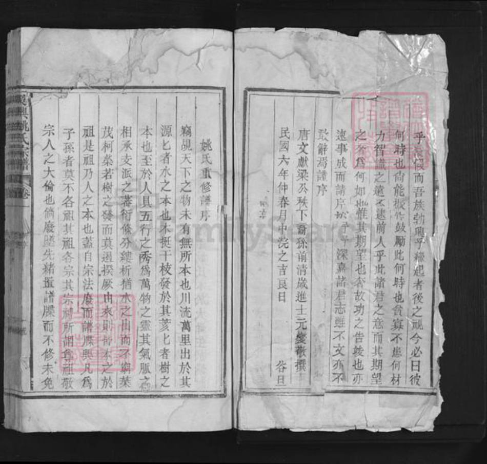 浙江省湖州吴兴区姚氏族谱-吴兴姚氏宗谱.pdf电子版插图1