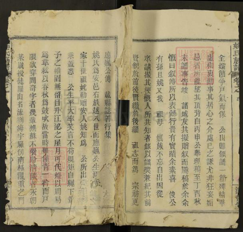 湖北省武汉市黄陂区木兰乡姚氏濬哲堂族谱-姚氏族谱.pdf电子版