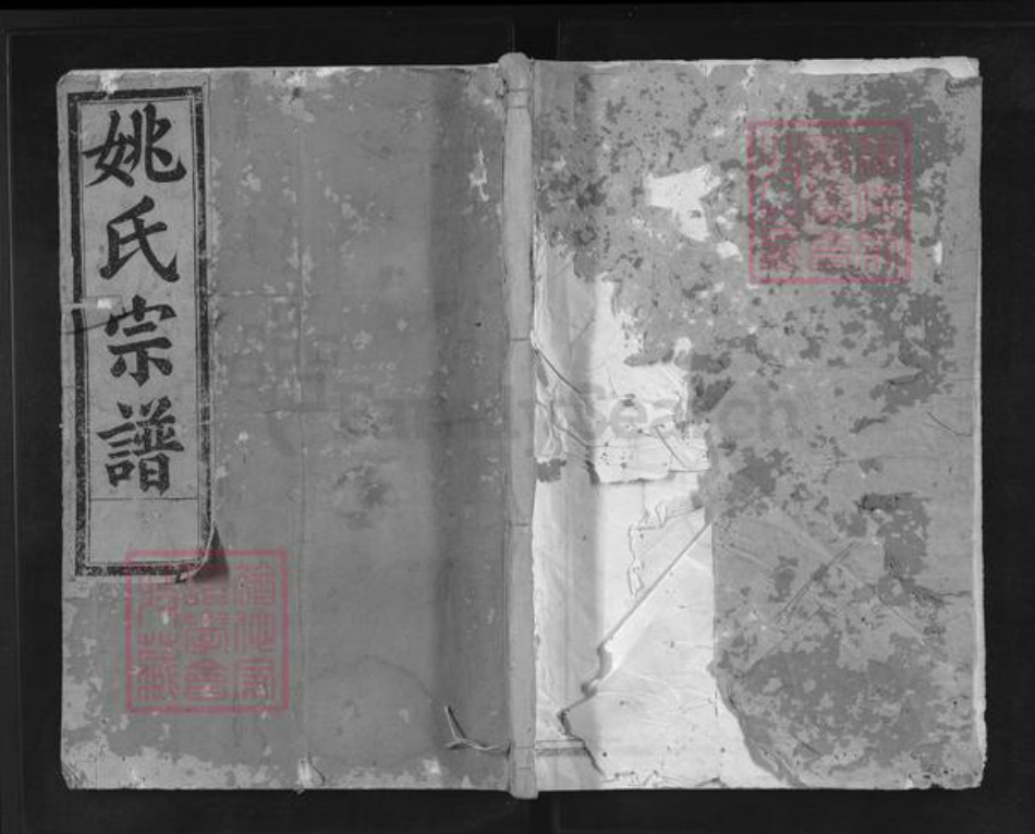 浙江省金华市兰溪市姚氏族谱-吴兴郡姚氏宗谱.pdf电子版