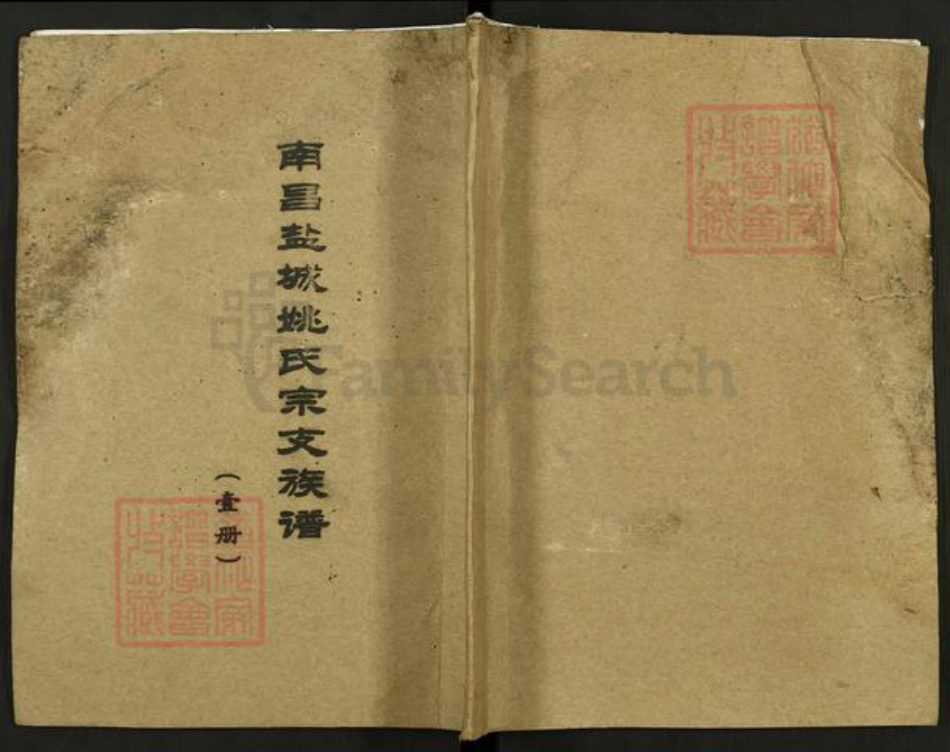 江西省宜春市宜丰县新庄镇姚氏耕历堂族谱-南昌盐城姚氏宗支族谱.pdf电子版