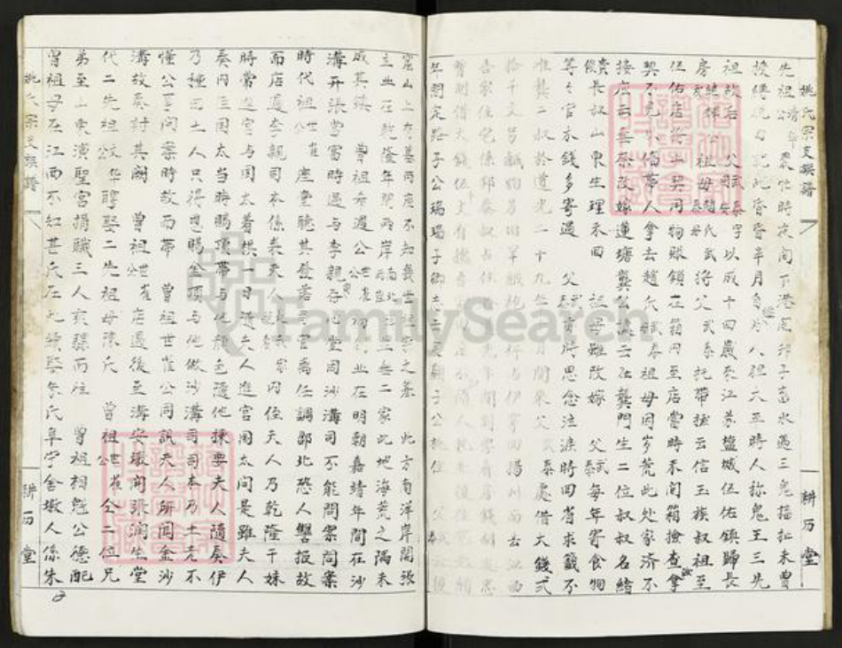 江西省宜春市宜丰县新庄镇姚氏耕历堂族谱-南昌盐城姚氏宗支族谱.pdf电子版插图2