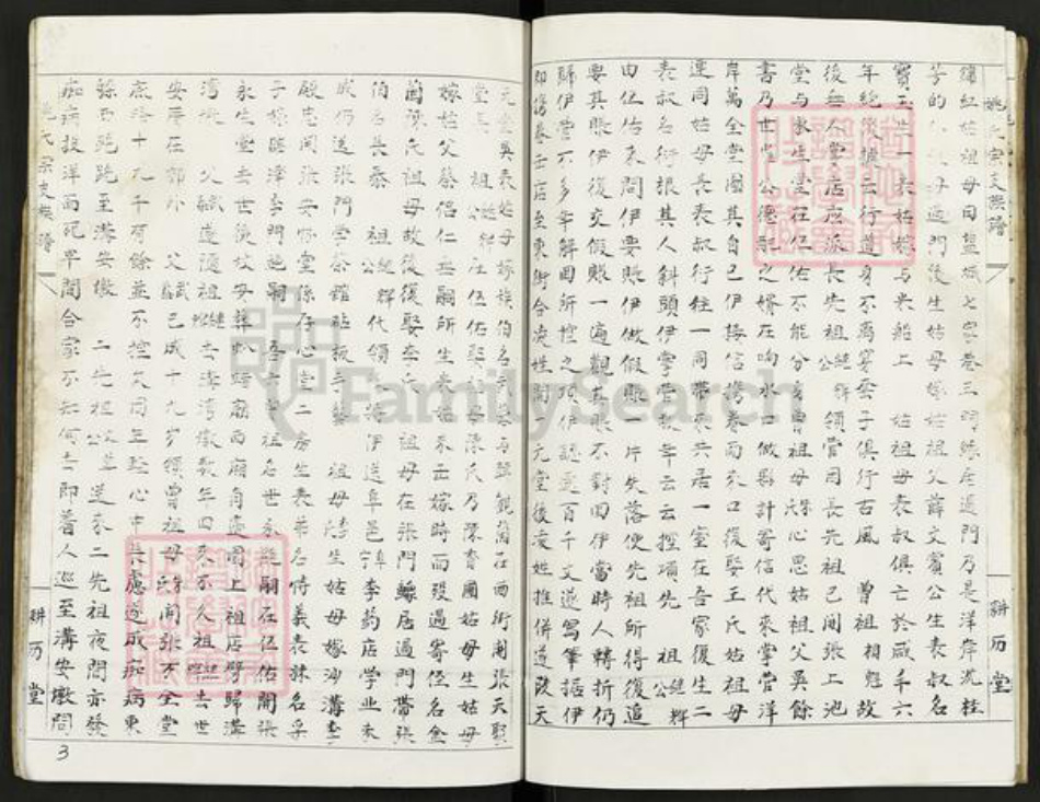 江西省宜春市宜丰县新庄镇姚氏耕历堂族谱-南昌盐城姚氏宗支族谱.pdf电子版插图3