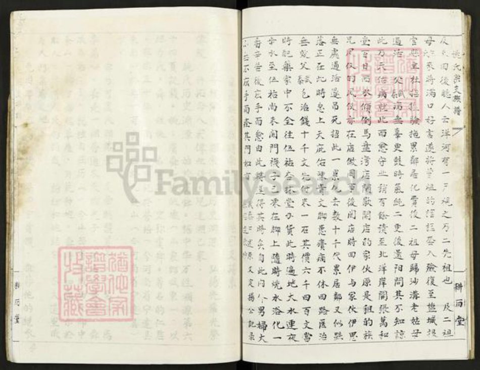 江西省宜春市宜丰县新庄镇姚氏耕历堂族谱-南昌盐城姚氏宗支族谱.pdf电子版插图4