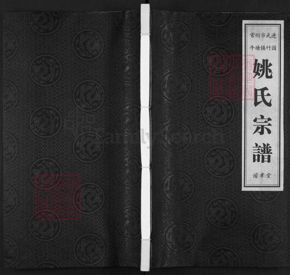 江苏省常州市武进县牛塘镇姚氏谐孝堂族谱-姚氏宗谱.pdf电子版