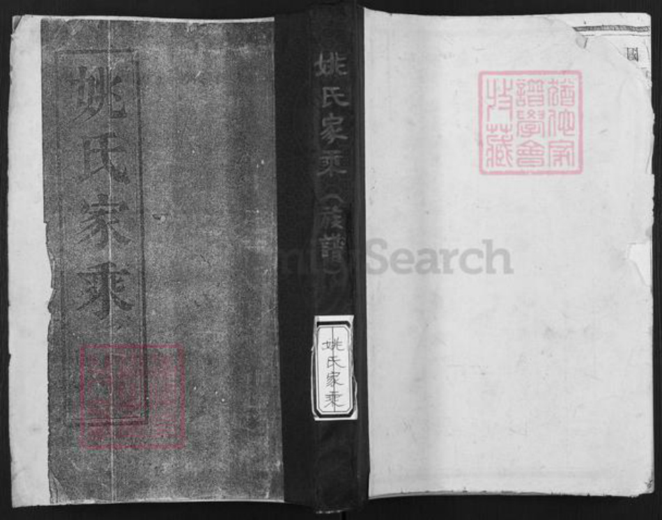 江苏省扬州市江都区姚氏积贤堂族谱-姚氏族谱.pdf电子版