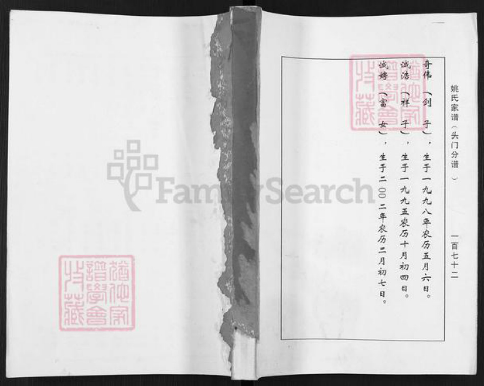 江苏省盐城市盐都区秦南镇姚氏耕历堂族谱-姚氏家谱.头门分谱.pdf电子版