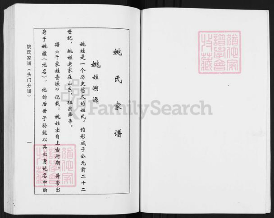 江苏省盐城市盐都区秦南镇姚氏耕历堂族谱-姚氏家谱.头门分谱.pdf电子版插图2