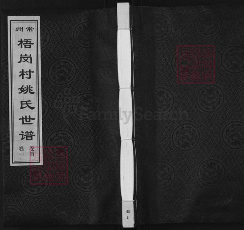 江苏省常州市天宁区郑陆镇姚氏孝思堂族谱-常州梧岗村姚氏世谱.pdf电子版