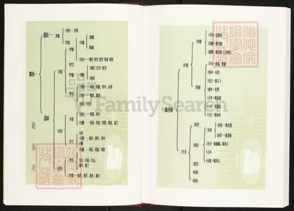 湖北省孝感市安陆市洑水镇姚氏族谱-安陆市三陂姚榨竹箩姚氏宗谱.pdf电子版插图5
