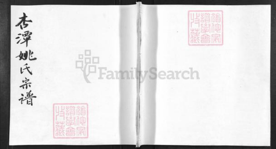 安徽省黄山市歙县王村镇姚氏族谱-杏潭姚氏宗谱.pdf电子版