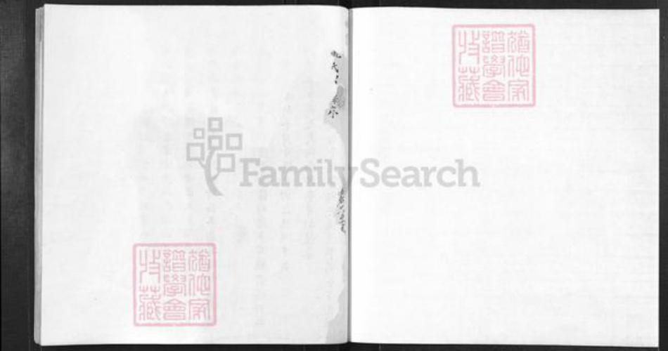 安徽省黄山市歙县王村镇姚氏族谱-杏潭姚氏宗谱.pdf电子版插图1