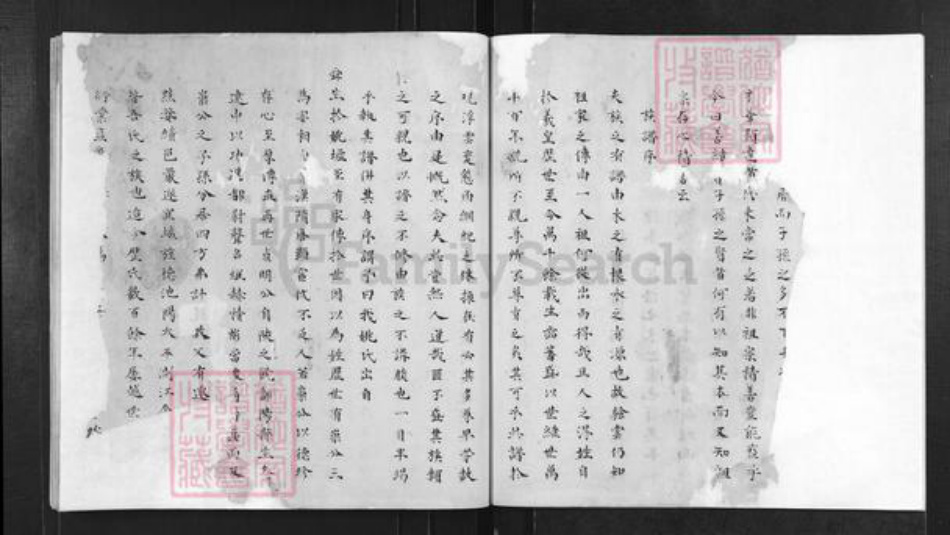 安徽省黄山市歙县王村镇姚氏族谱-杏潭姚氏宗谱.pdf电子版插图3