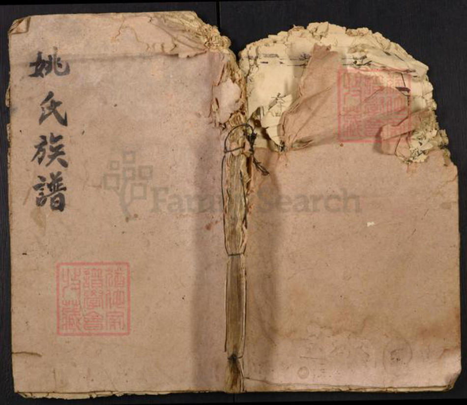 湖北省仙桃市姚氏族谱-姚氏族谱.pdf电子版