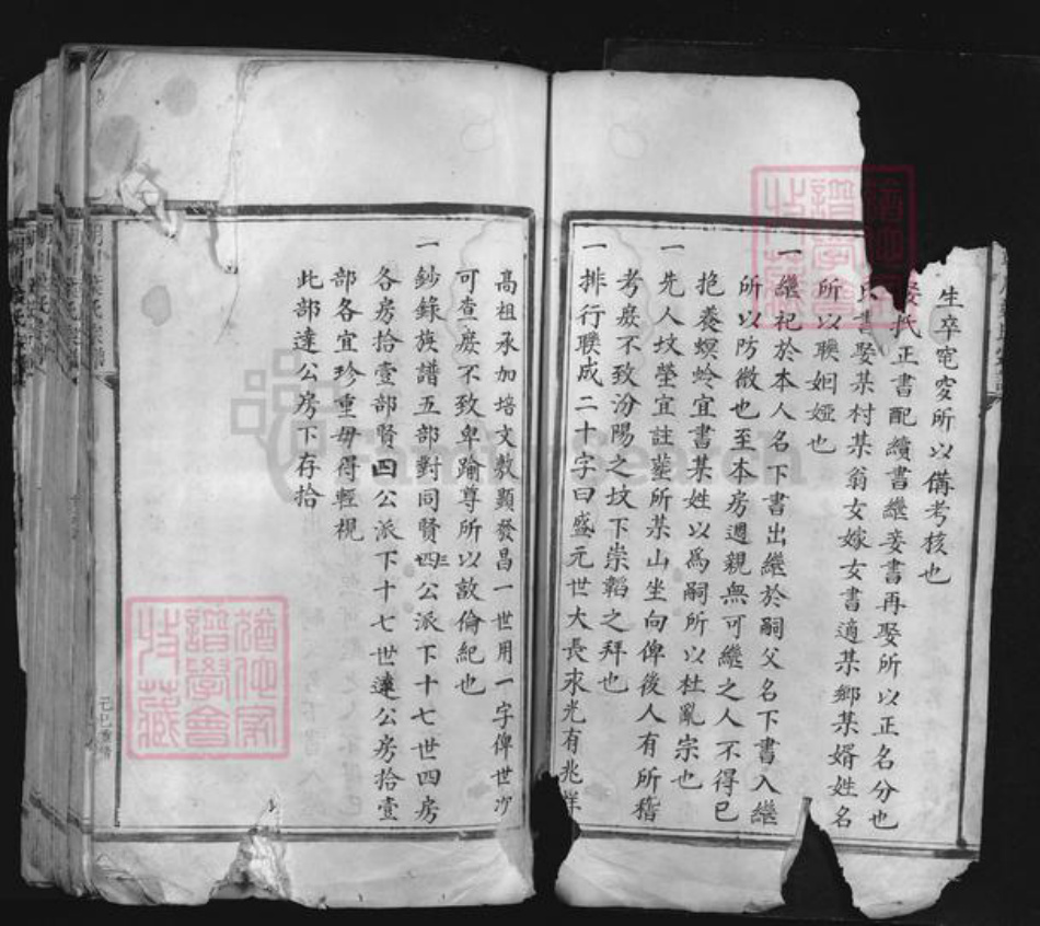 浙江省金华市永康市前仓镇叶氏族谱-朝川叶氏宗谱.pdf电子版插图3