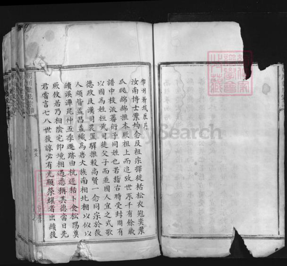 浙江省金华市永康市前仓镇叶氏族谱-朝川叶氏宗谱.pdf电子版插图4