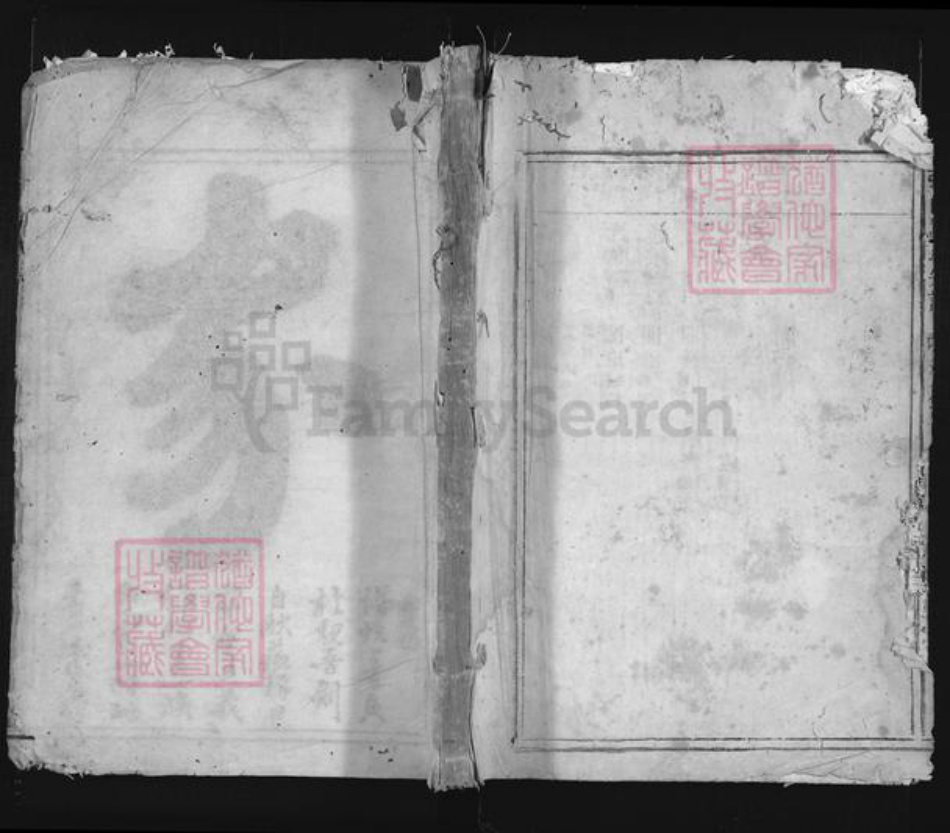 浙江省叶氏族谱-张山叶氏宗谱.pdf电子版