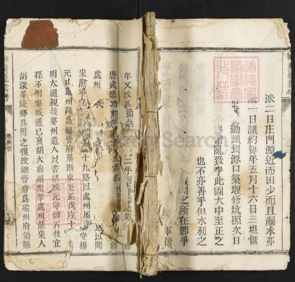 浙江省丽水市松阳县叶氏族谱-卯峰广远叶谱.pdf电子版