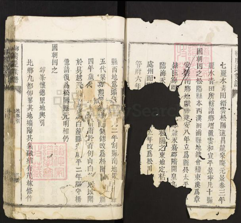 浙江省丽水市松阳县叶氏族谱-卯峰广远叶谱.pdf电子版插图2