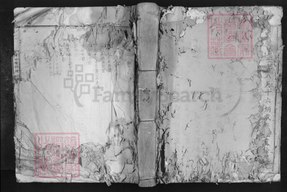 广东省韶关市南雄市叶氏族谱-七星树下叶都督公裔谱牒.pdf电子版插图 广东省韶关市南雄市叶氏族谱-七星树下叶都督公裔谱牒.pdf电子版插图